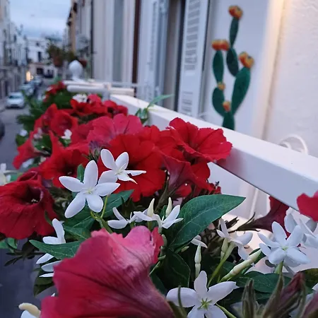 Apartman Casa Lina *