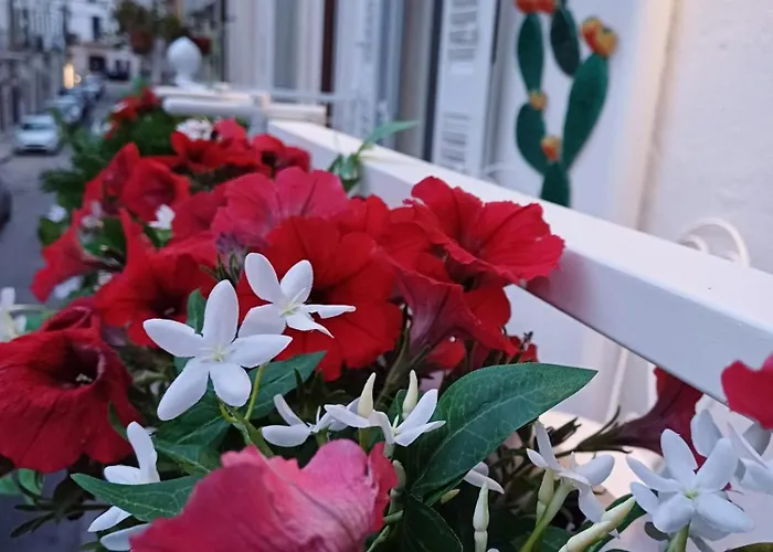 Appartamento Casa Lina *